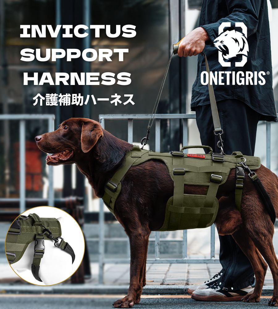 ONETIGRIS INVICTUS SUPPORTハーネス – Guppies