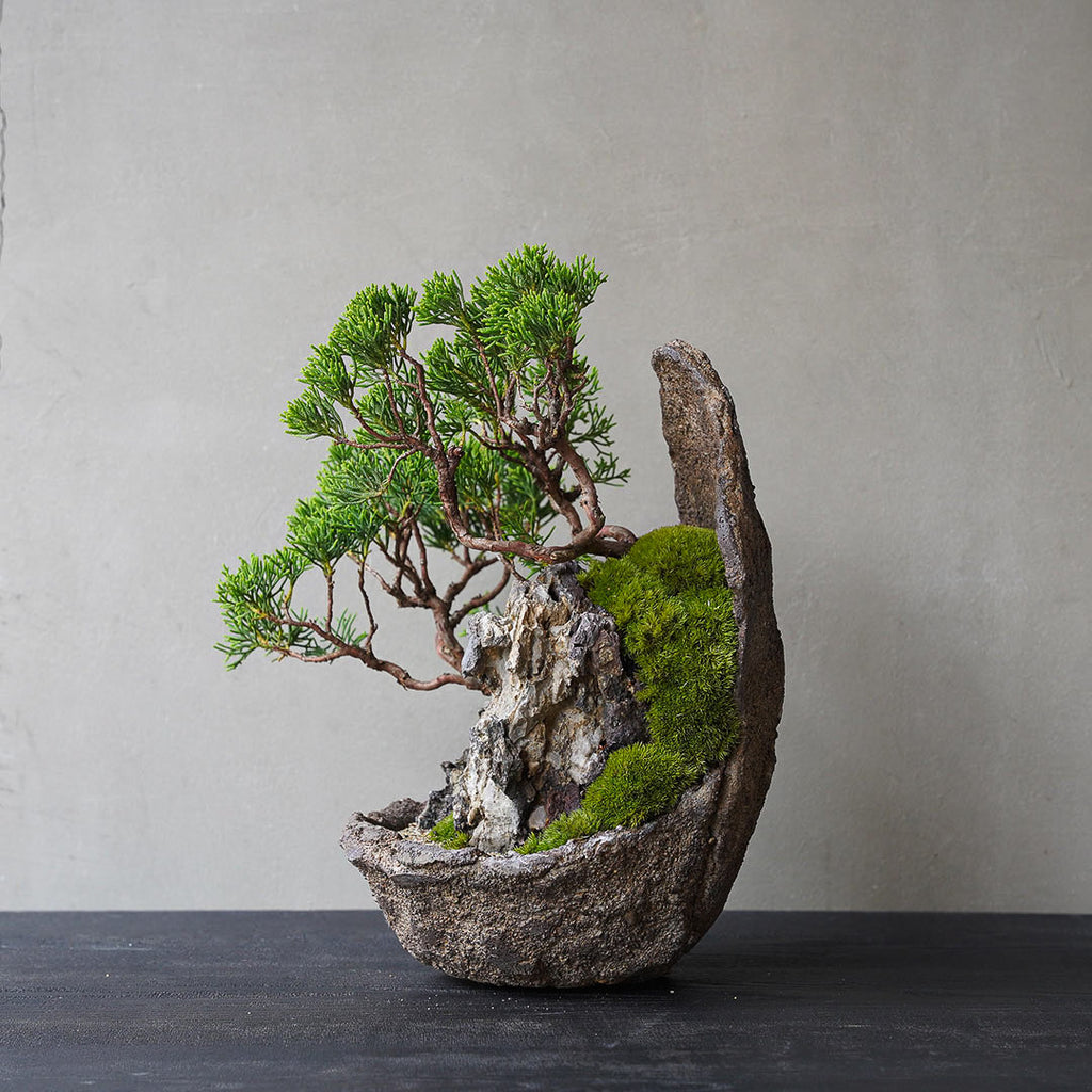 3-3_2_1024x.jpg?v=1751940124