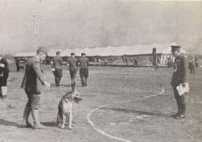 沿革（ギャラリー） - 日本警察犬協会