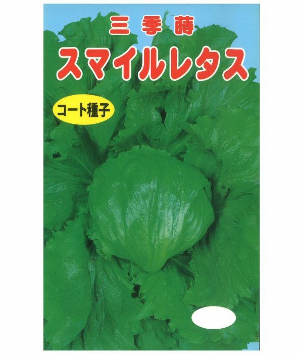 アサヒ育成 スマイルレタス（玉レタスの種）（コート種子）|固定種 在
