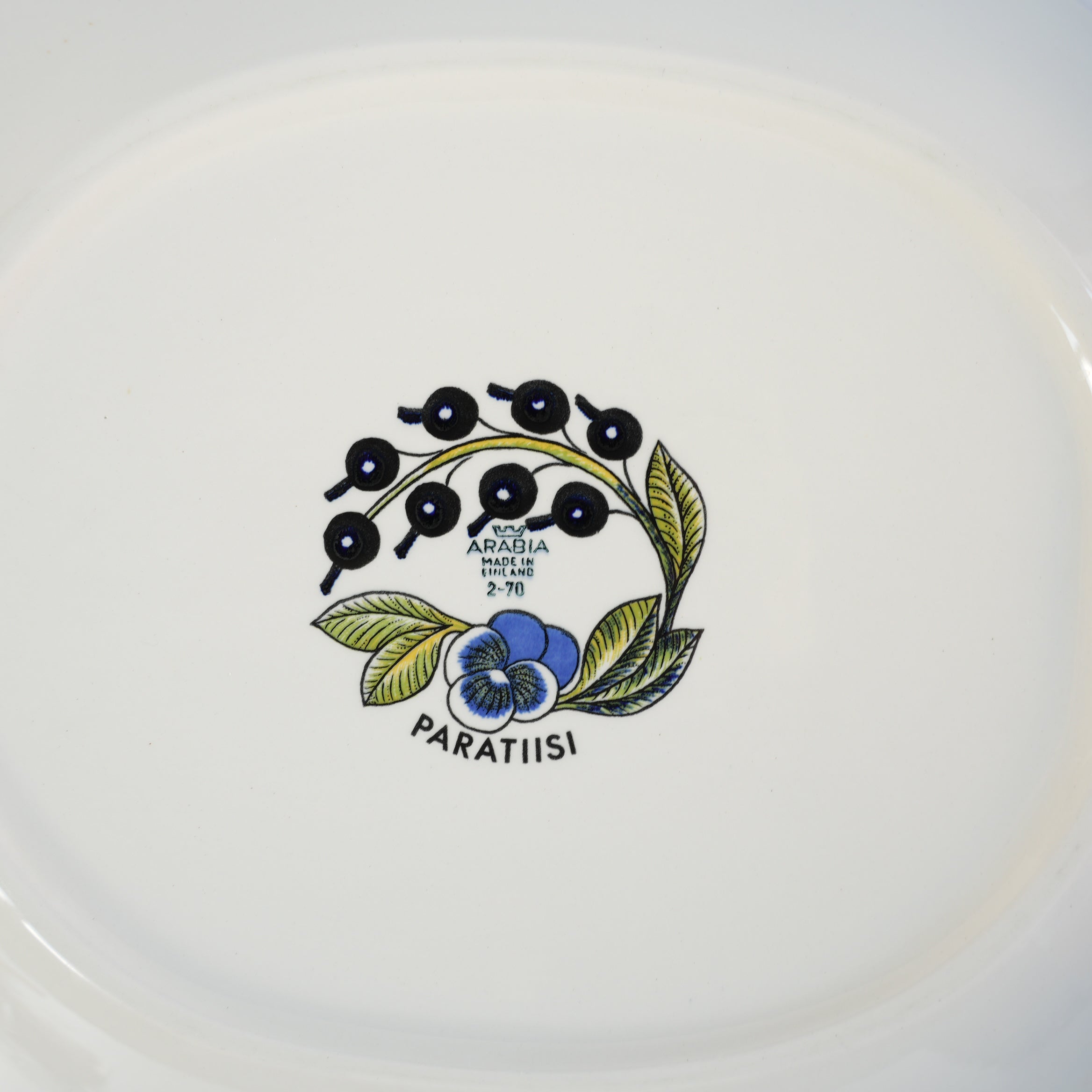 希少【ヴィオラロゴ】 アラビア パラティッシ 特大オーバルプレート