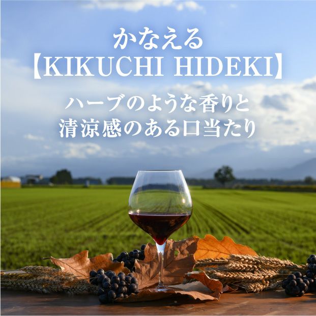 畑ごとのワイン赤ワイン 山幸～KIKUCHI HIDEKI｜食べレア北海道 物産
