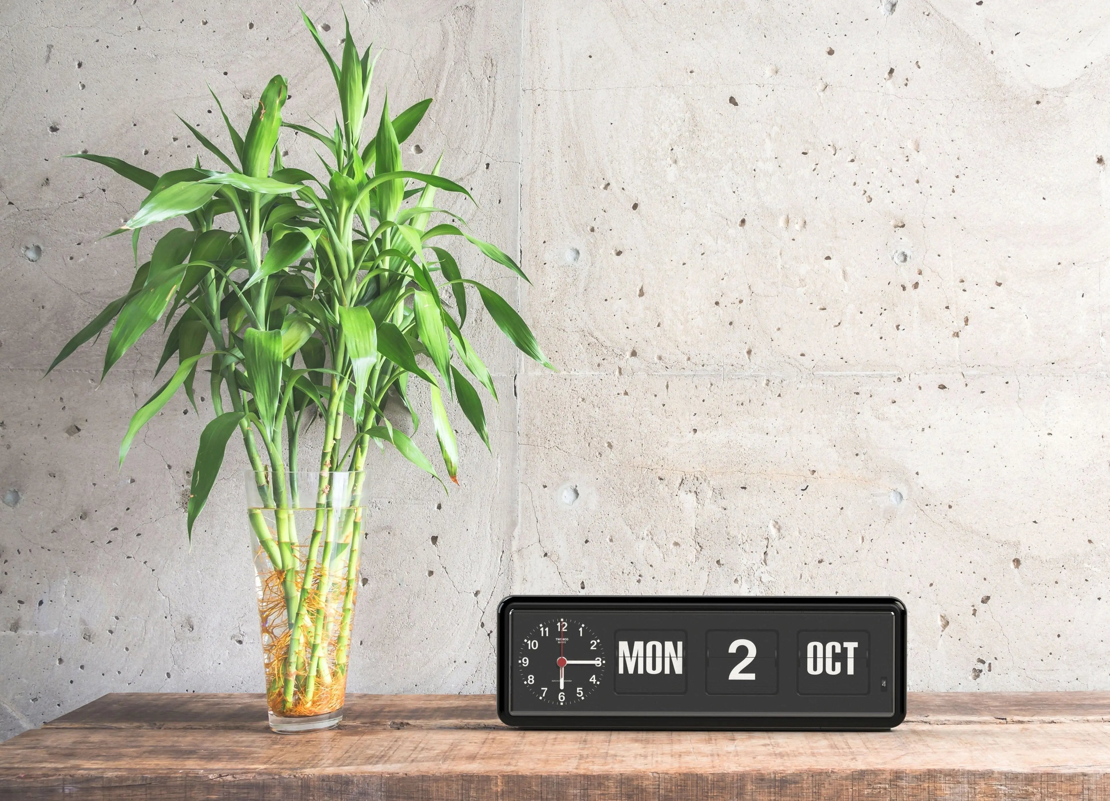 TWEMCO Calendar Flip Clock BQ-38 - Time Will Flip