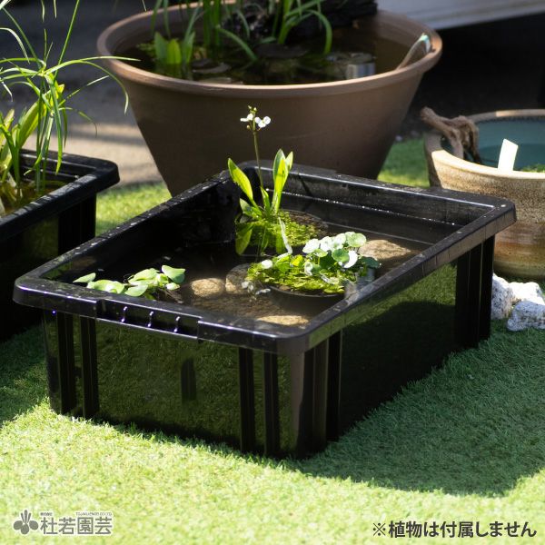 AZ-BOX プラボート プラ舟 | 杜若園芸WEBショップ｜水草の生産販売
