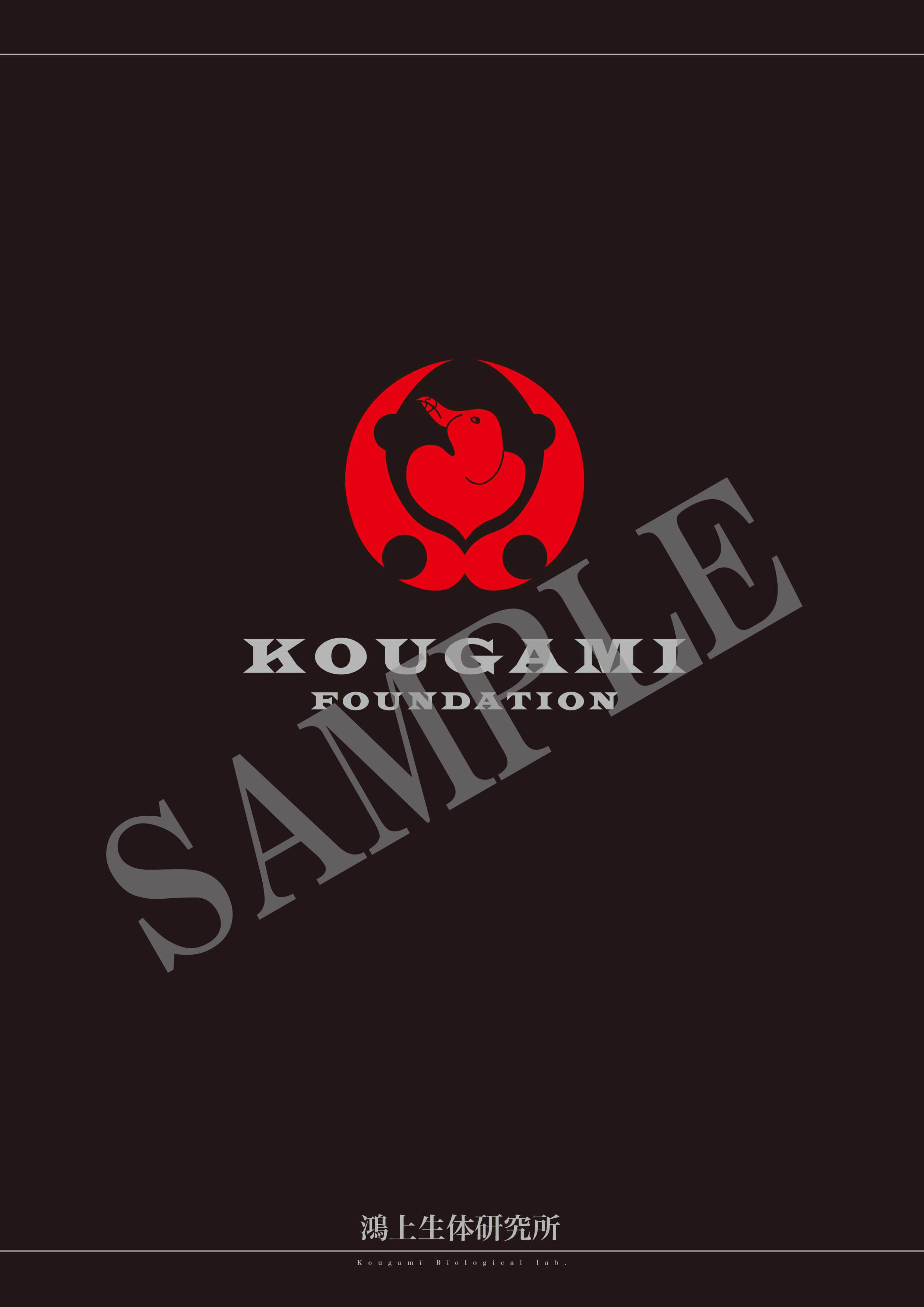 オーズドライバー コンプリートセットのブックレット内容をご紹介