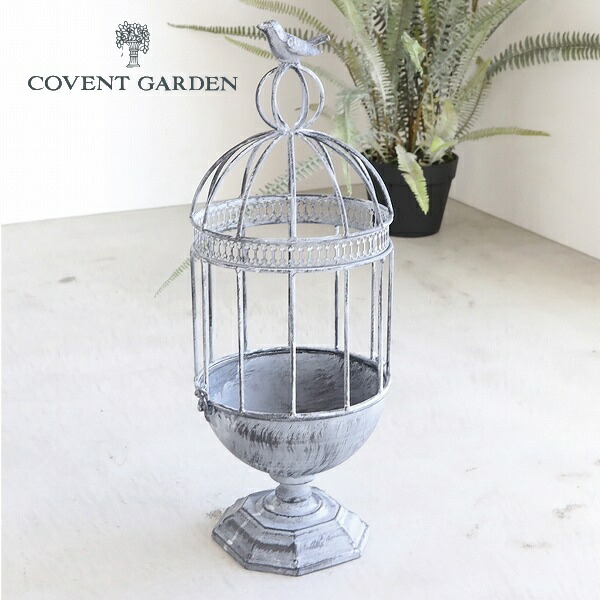 楽天市場】【特典付き 】 ポルヴィ・プランツケージ コベントガーデン