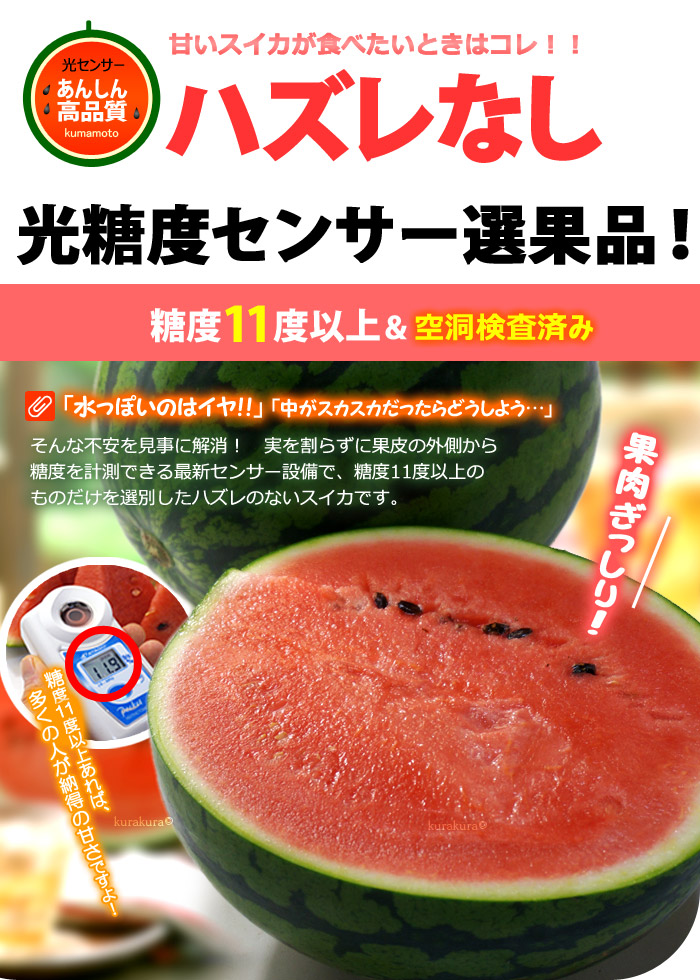 楽天市場】熊本すいか 夢大地 鹿本のスイカ (4L×1玉) 熊本産 秀品 熊本