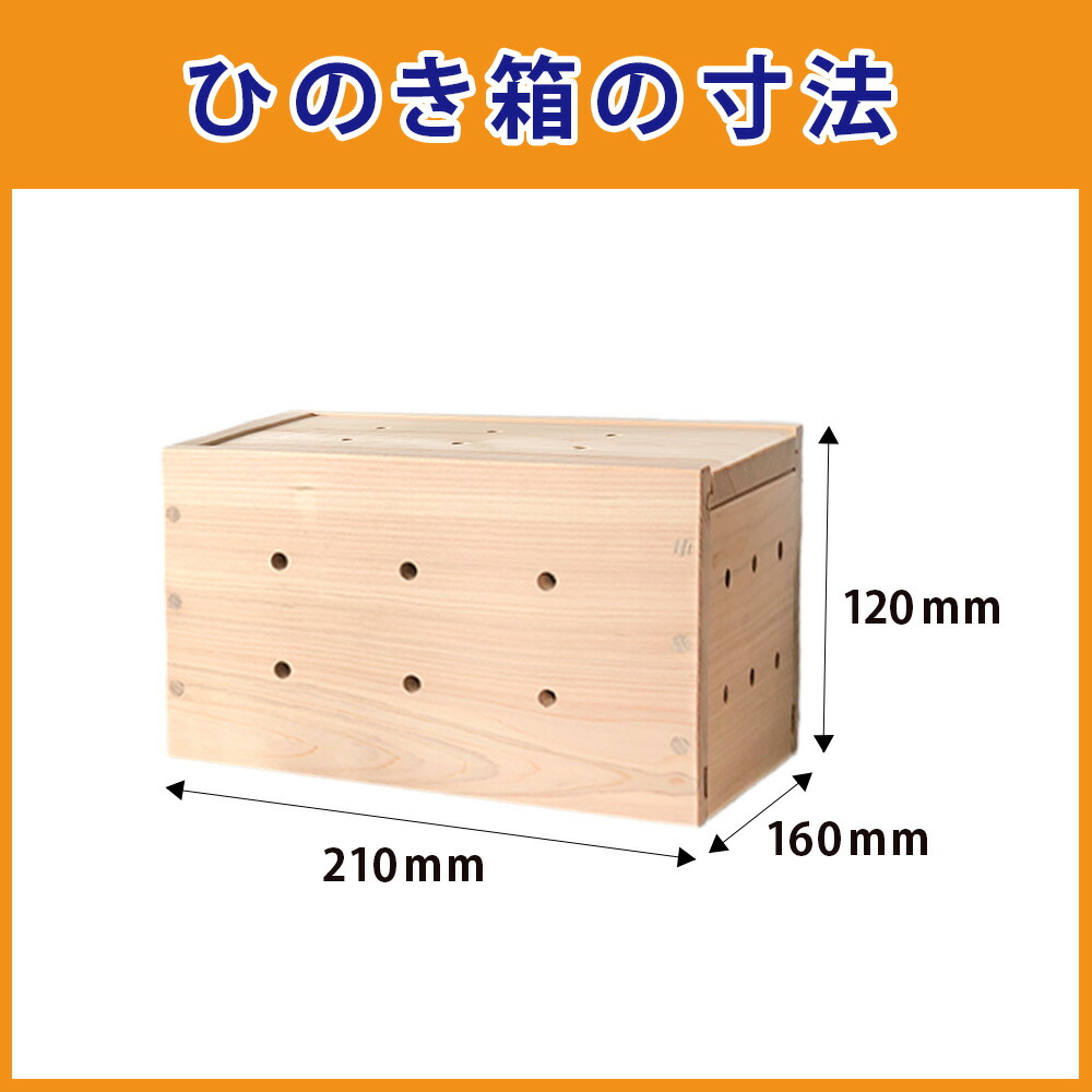 楽天市場】プレゼント ラジウム檜箱セット すぐに使えるネット付【謹製