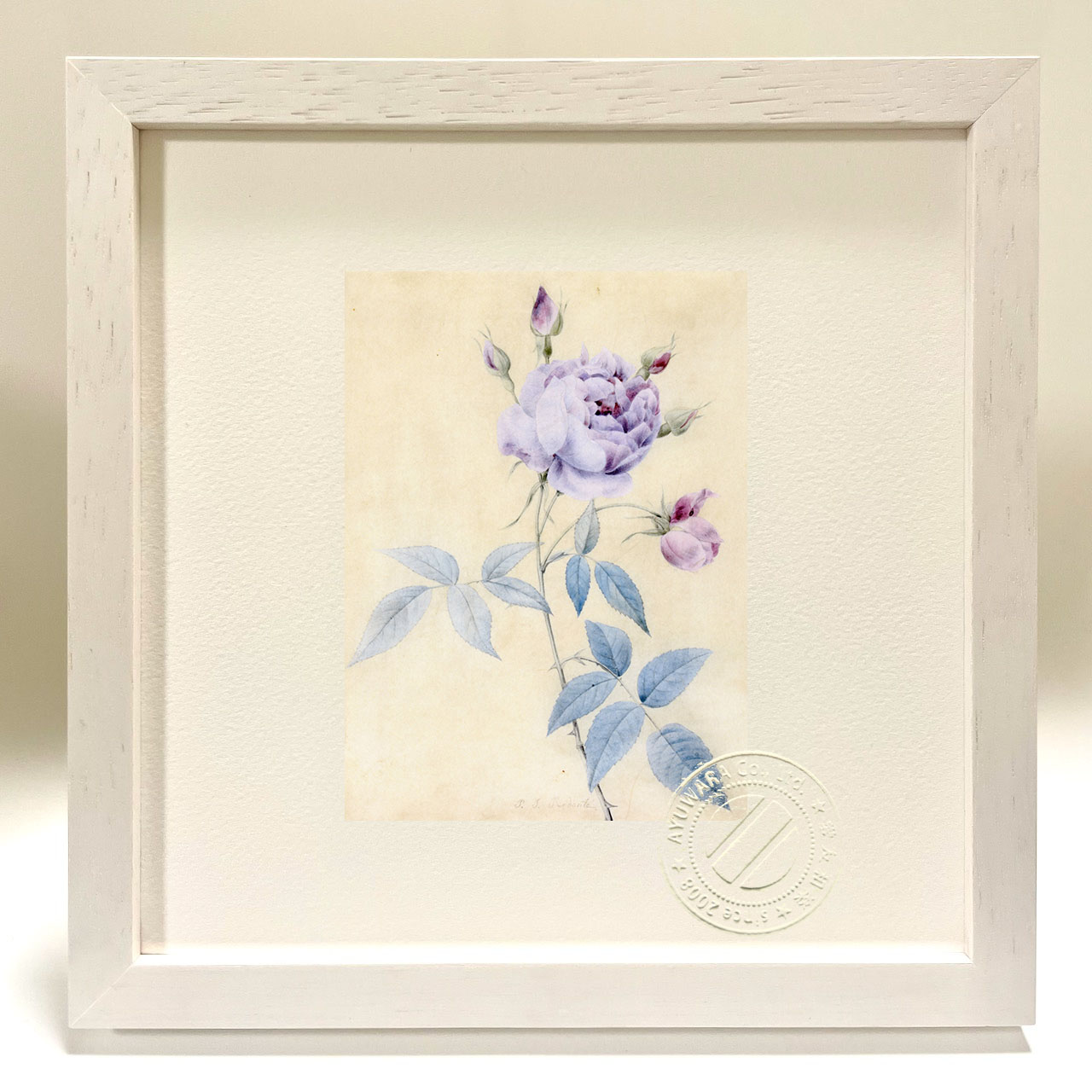 楽天市場】版画 絵画 バラ 鉛筆、水彩、グワッシュ／ヴェラム 制作年