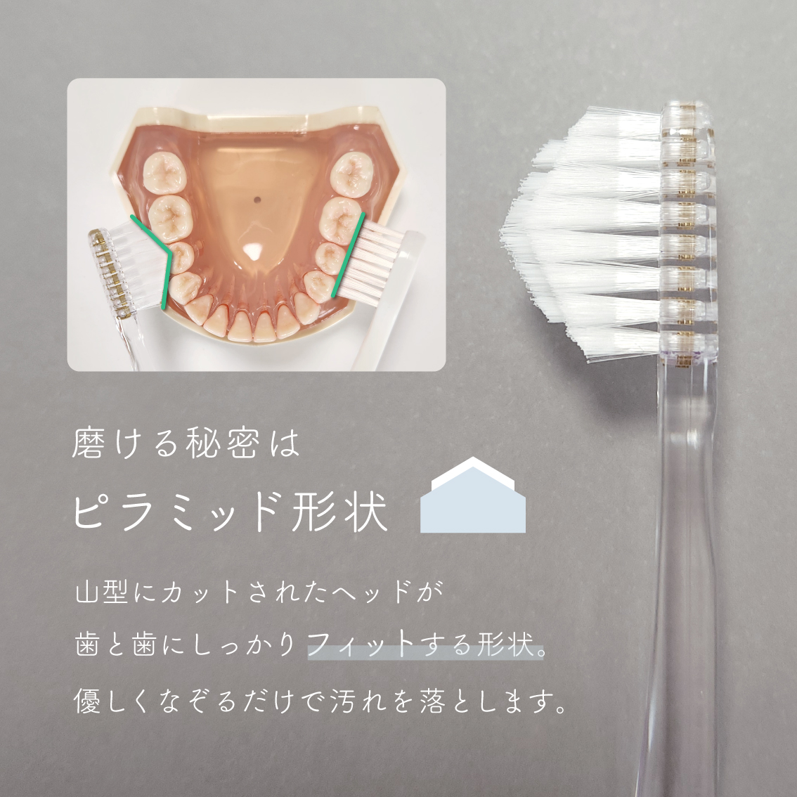 楽天市場】公式 奇跡の歯ブラシ〈トライアングルハンドル〉 お試し1本