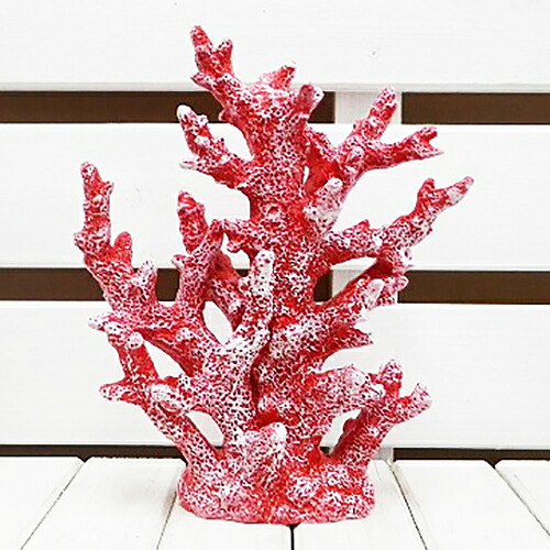楽天市場】サンゴ オブジェ 置物 飾り 小物 珊瑚 さんご （白 赤 青