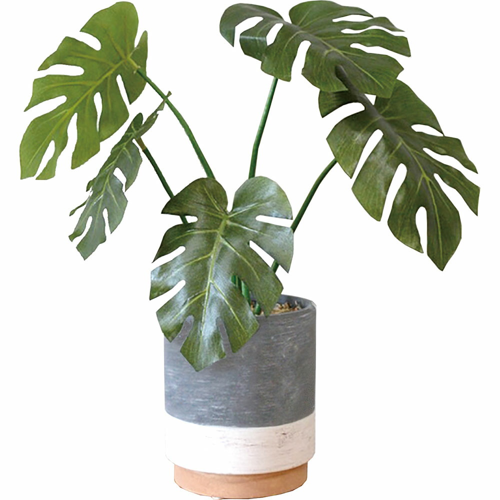 楽天市場】光触媒 フェイクグリーン 通販 観葉植物 人工観葉植物