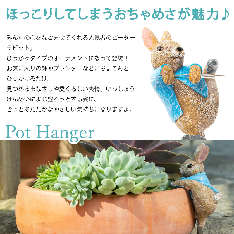 楽天市場】ピーターラビット ポットハンガー よじ登り ひっかけ 植木鉢