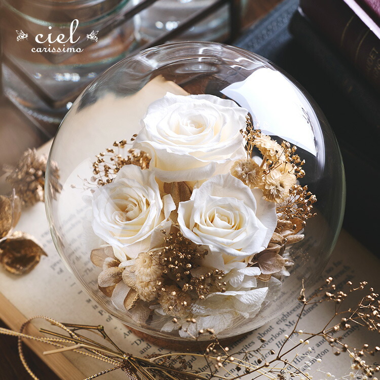 楽天市場】プリザーブドフラワー【ソフィア】ガラスドーム プレゼント