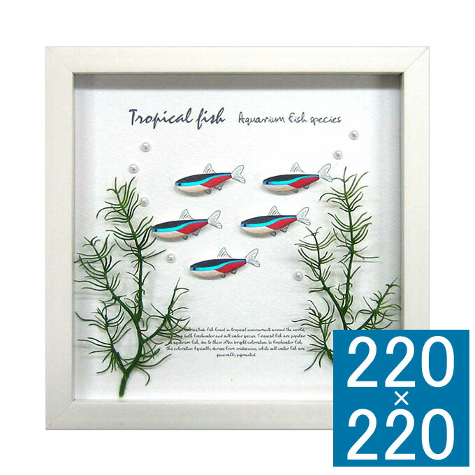 楽天市場】アートフレーム Aqua Frame Neon Tetra アートフレーム