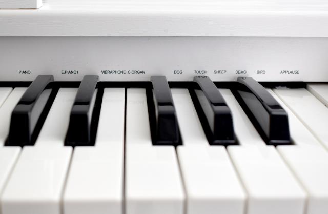 楽天市場】artesia FUN-1/WH 新品 61鍵盤キッズピアノ[アルテシア