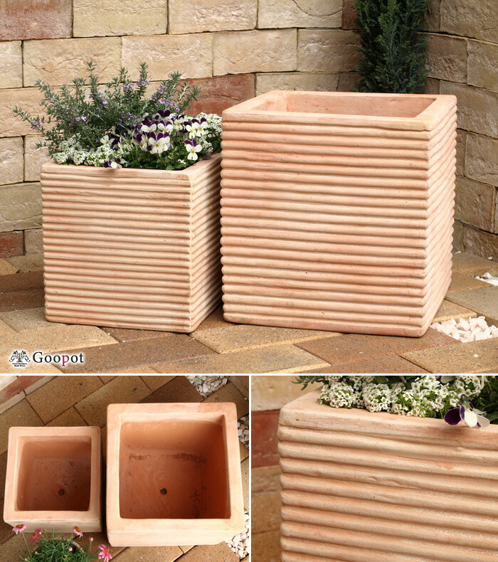 楽天市場】植木鉢 おしゃれ 横縞 キューブ型 素焼き鉢 テラコッタ 鉢