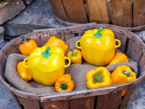 楽天市場】【公式】 ストウブ セラミック パプリカココット イエロー