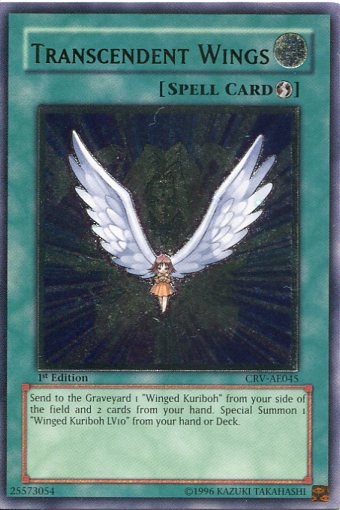 楽天市場】旧アジア版 進化する翼 TRANSCENDENT WINGS CRV-AE045