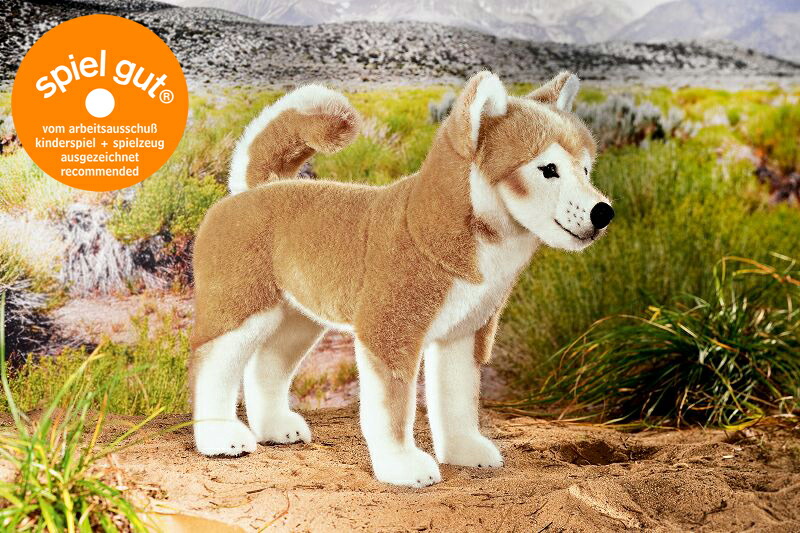 楽天市場】ケーセン ぬいぐるみ Kosen 柴犬 (大) 37cm 【 犬 いぬ