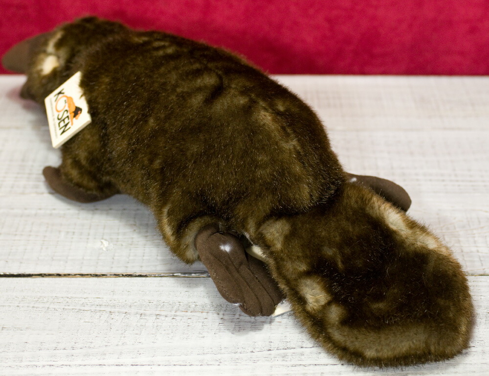 楽天市場】ケーセン ぬいぐるみ Kosen カモノハシ「レナ」 43cm