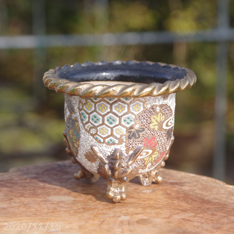 ☆錦鉢☆万年青鉢☆赤唐草宝珠☆布施覚作品 錦鉢 赤唐草 布施覚絵 サイン有り - メルカリ