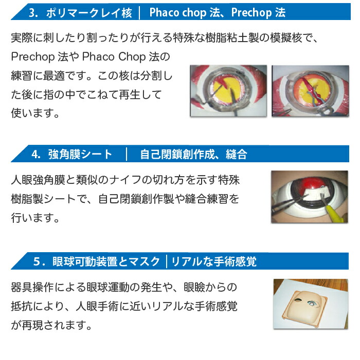 楽天市場】机太郎 ドライラボ模型 白内障手術練習用模擬眼 眼科手技