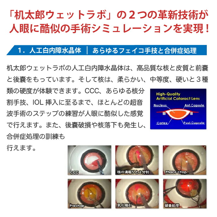 楽天市場】机太郎ウェットラボ模型 OM008 白内障手術練習用模擬眼 眼科