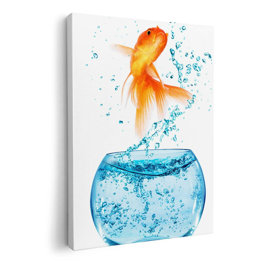 楽天市場】金魚 アートの通販