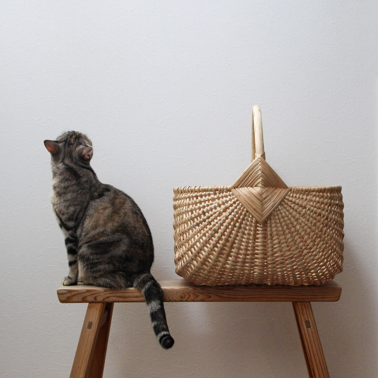 楽天市場】ラトビア PINUMU PASAULE マッシュルーム L バスケット 柳