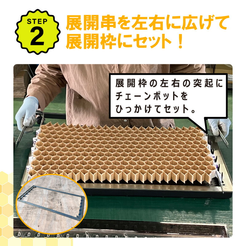 楽天市場】【100%ポイントバック エントリー＆抽選2/25まで】播種5点