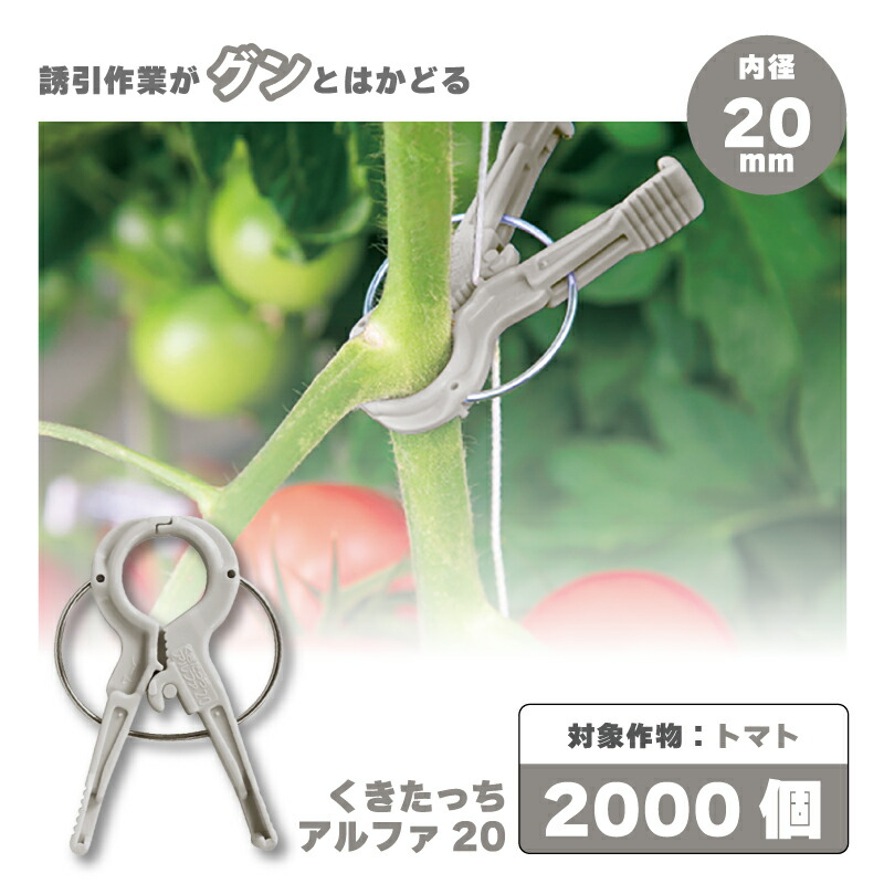 楽天市場】誘引クリップ 2000個の通販