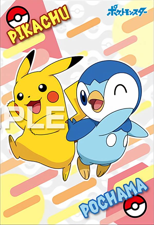 楽天市場】【ピカチュウ＆ポッチャマ】ポケットモンスター ポケモン