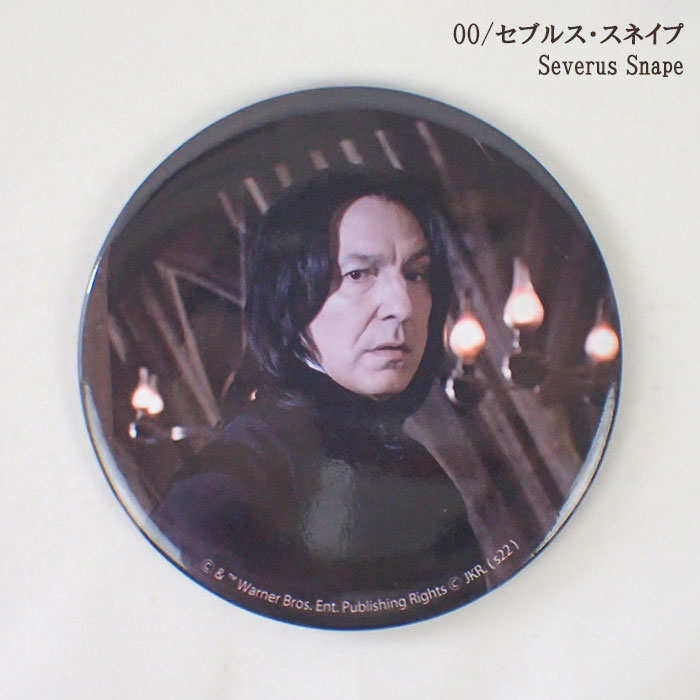 楽天市場】ハリーポッター グッズ/ FLAPPER フラッパー フィルムアート