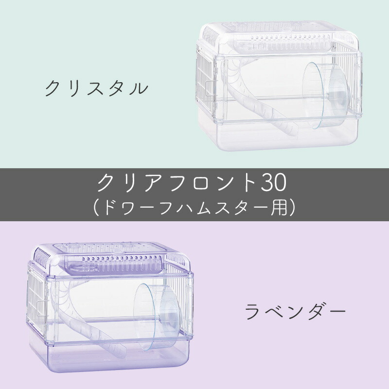 楽天市場】[セット] GEX クリアフロント30 クリスタル / ラベンダー