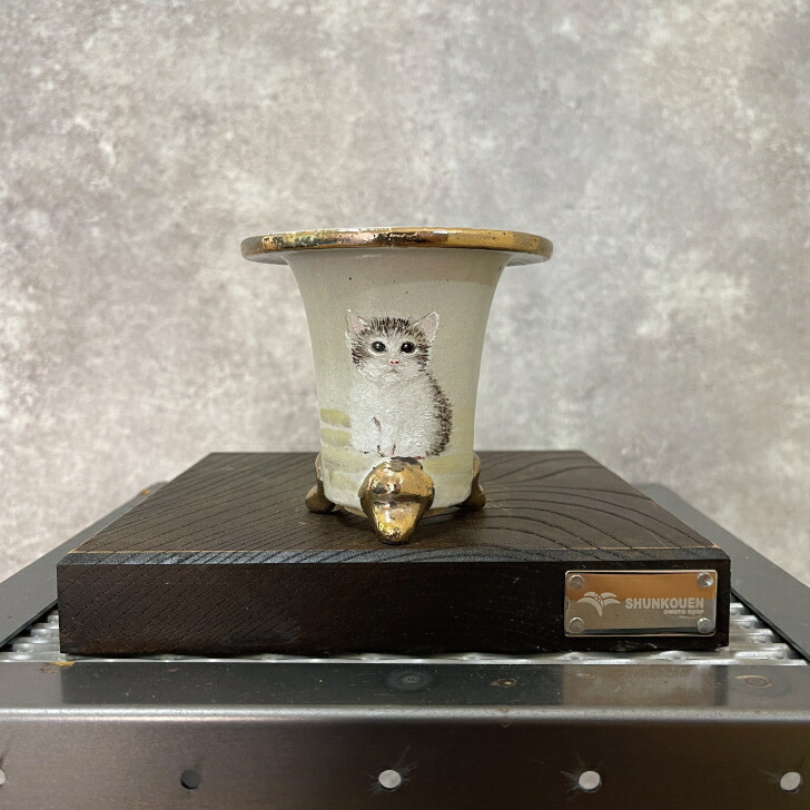 楽天市場】◇万年青鉢（猫鉢）◇愛楽園製 錦鉢 万年青専門店 春光園