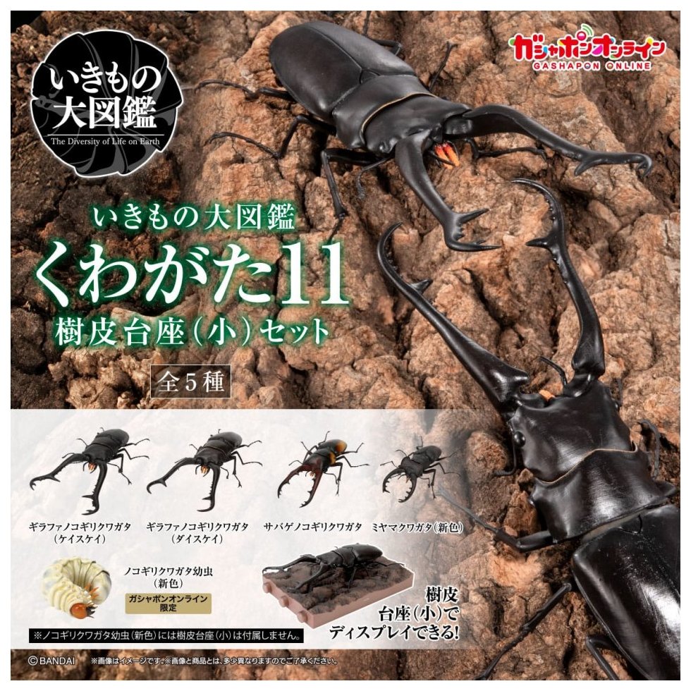 楽天市場】figma ポケットモンスター マリィ 「応援ラッパ」＆「応援