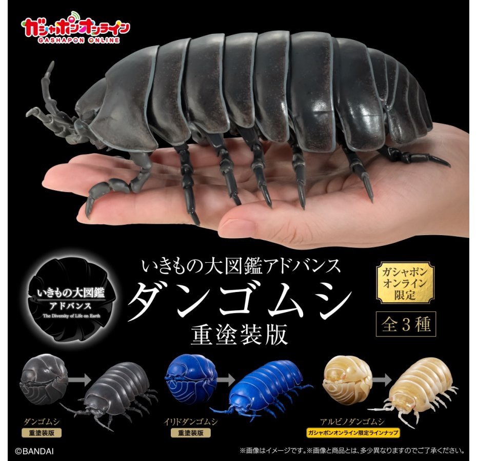 楽天市場】マックスファクトリー ツムギバコ プトゥン 受胎Ver. ソフビ