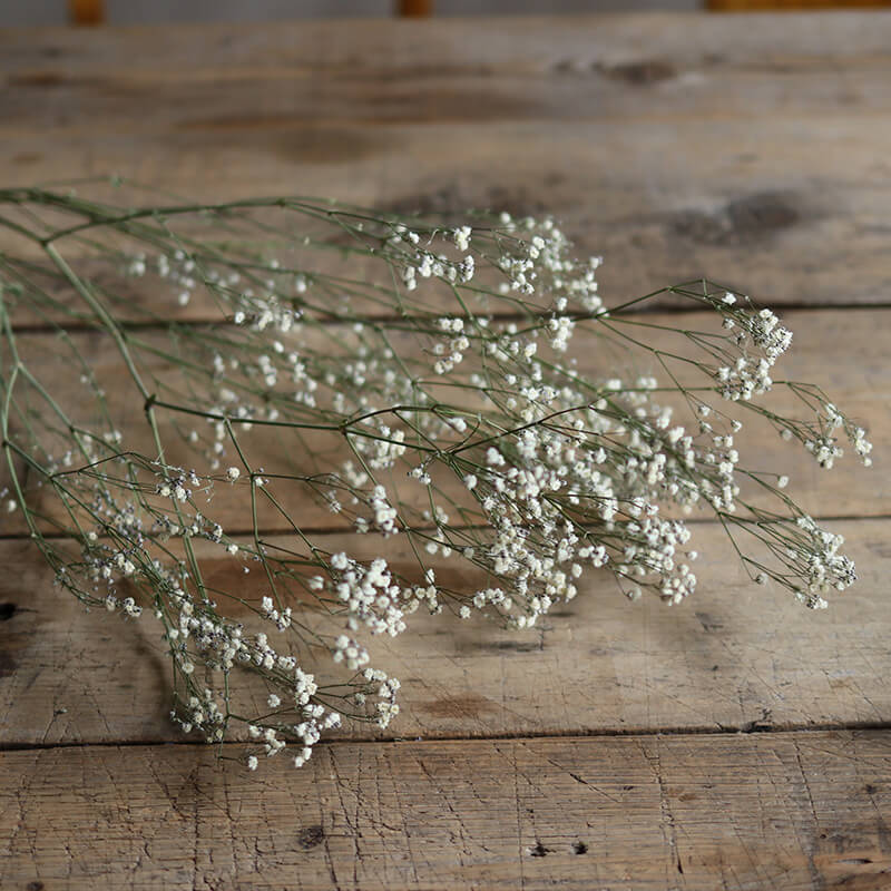 楽天市場】カスミ草 フラワーベール / ドライフラワー 花材 リース