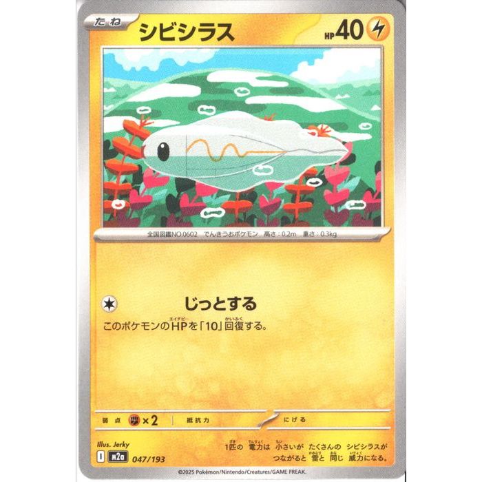 楽天市場】シビシラスの通販