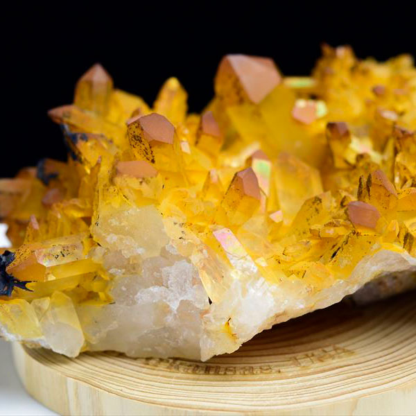 楽天市場】ゴールデンヒーラークラスターの通販