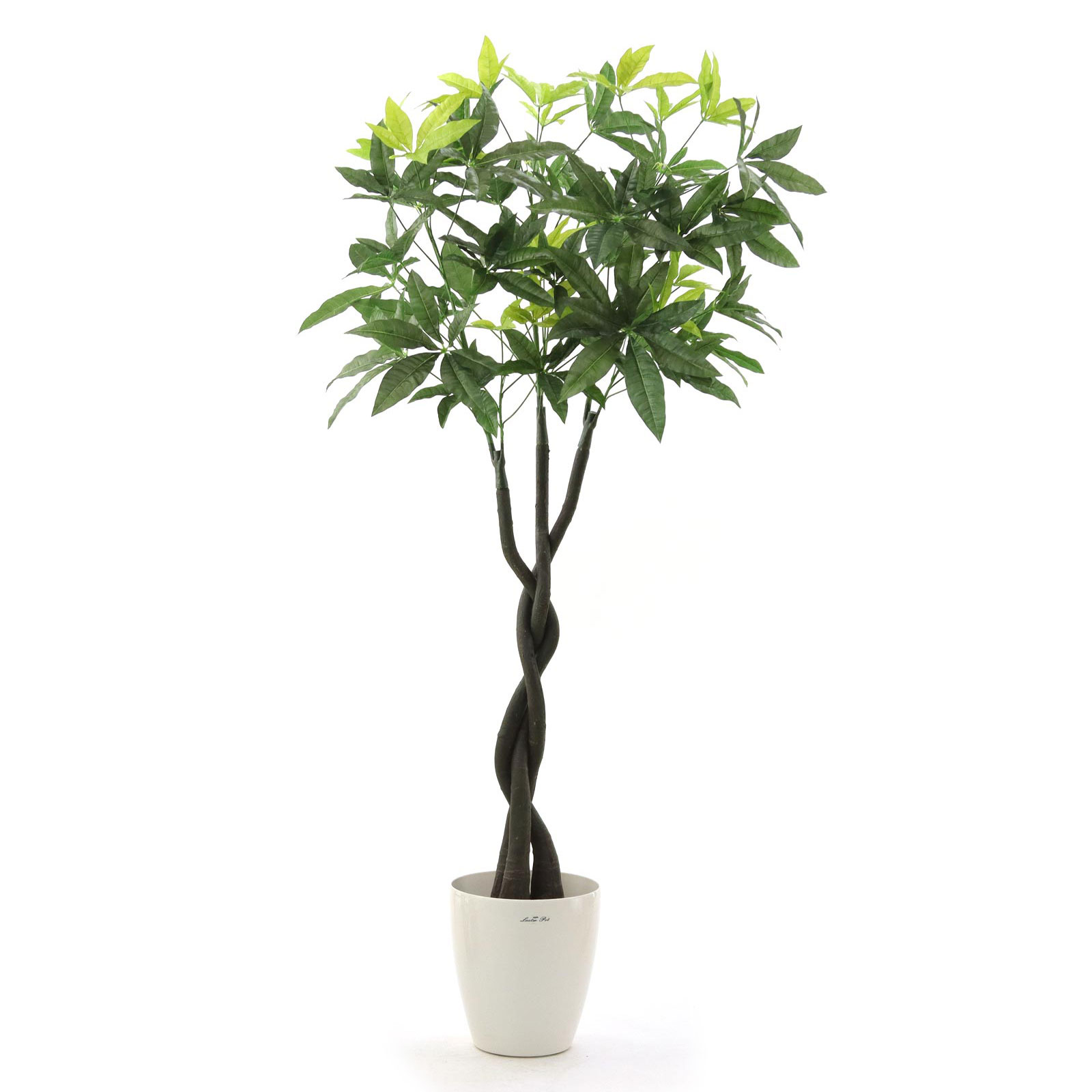 楽天市場】No8009 プレミアム光触媒フェイクグリーン 「スパイラル