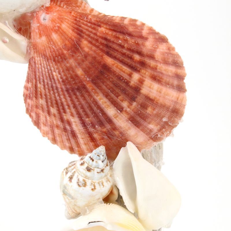 ハワイアン雑貨 カラフルシェルリース 貝殻デザイン 南国 マリン