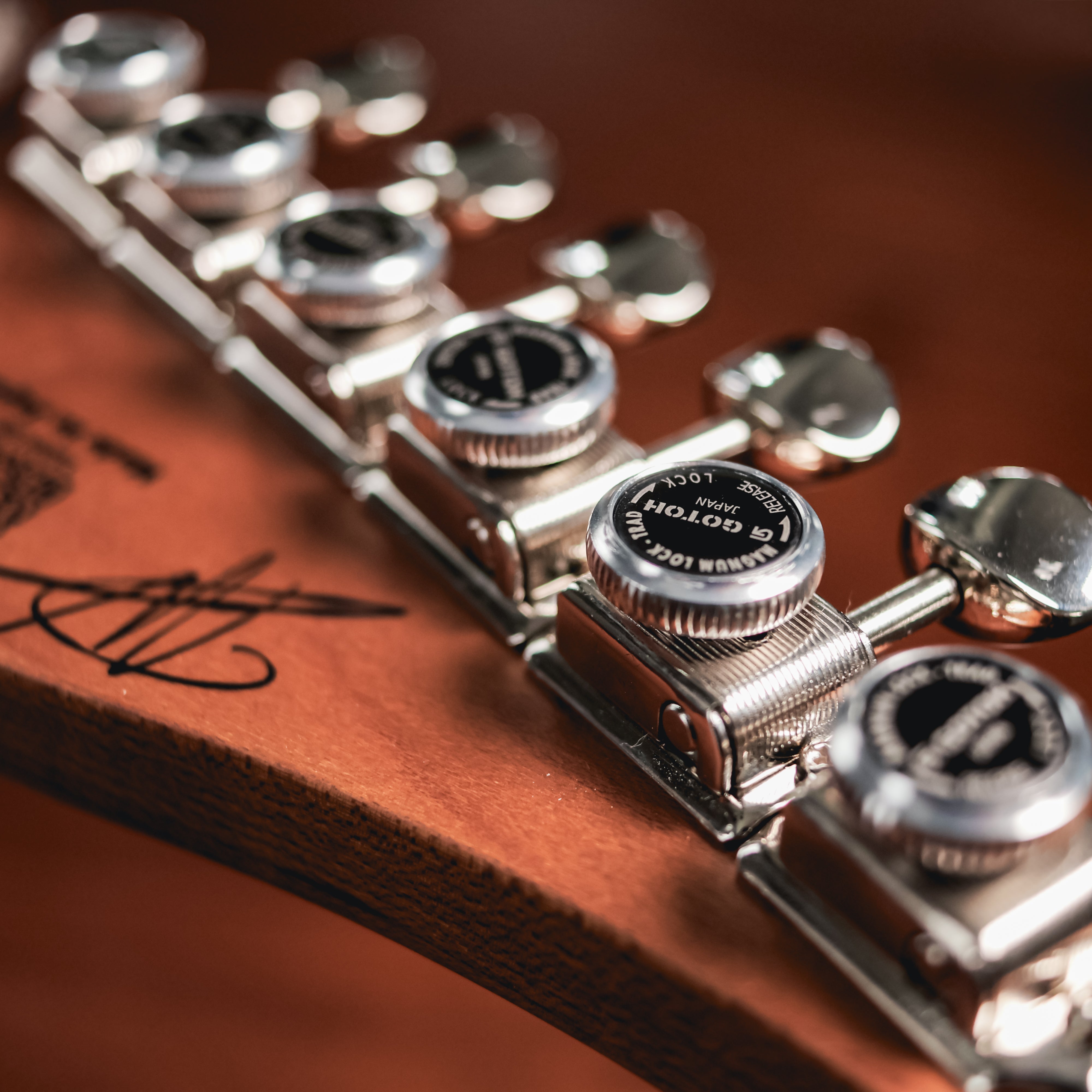 Vasti_PDM_J2-43.jpg?v=