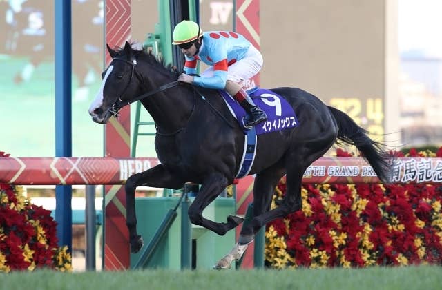 ドバイWCデー】イクイノックス、ドウデュースら予備登録馬一覧 | JRA