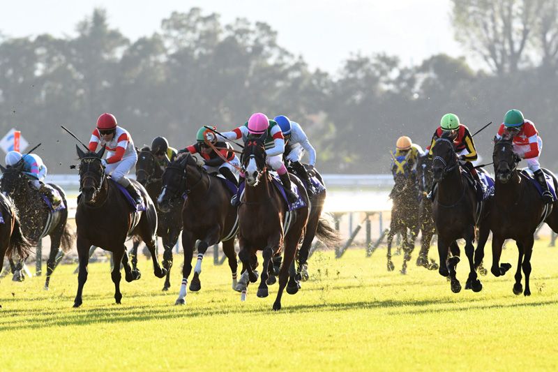 2024 マイルCS】昨年の勝ち馬ナミュールやブレイディヴェーグなど