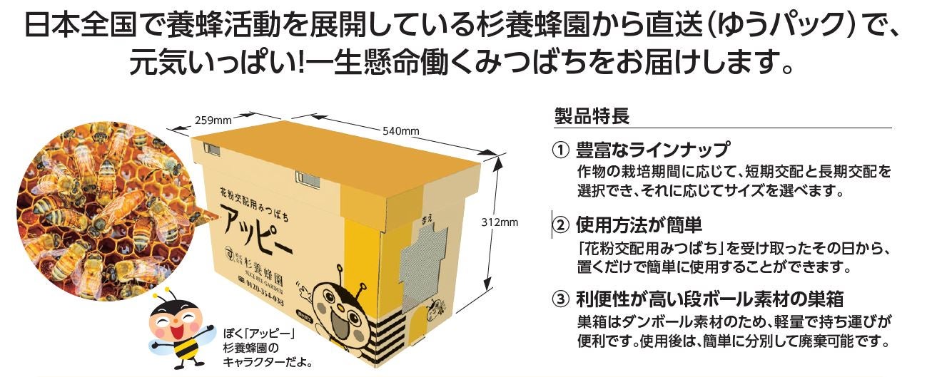 花粉交配用みつばちの販売のご案内 | 杉養蜂園公式オンラインショップ