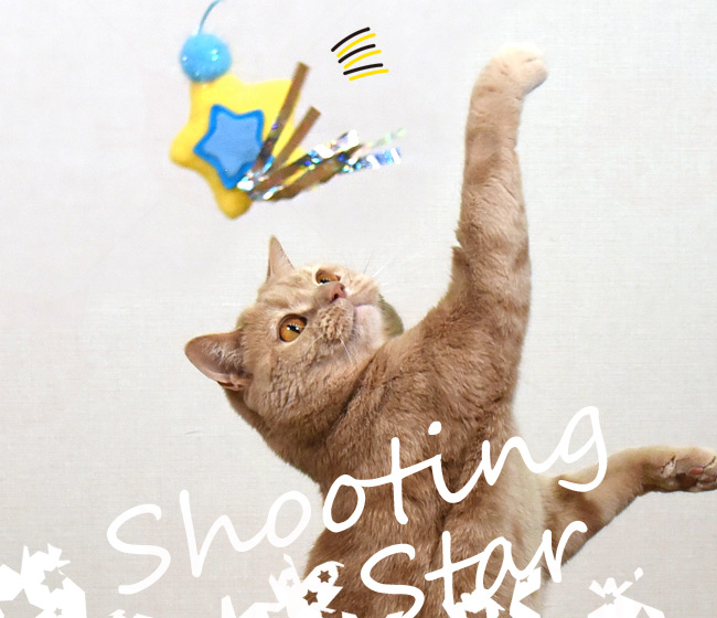 とびつくにゃんじゃらし きらきら流れ星 ゴロにゃんオリジナル 猫用