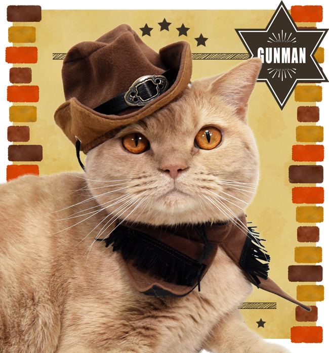 カウボーイ3点セット 帽子 スタイ スカーフ ゴロにゃんオリジナル 猫服