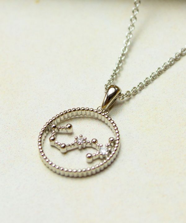 サークルサインシルバーネックレス(CAPRICORN(やぎ座)): 『欧州航路』